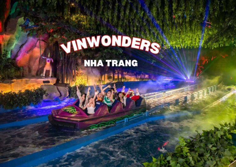 vin 3
